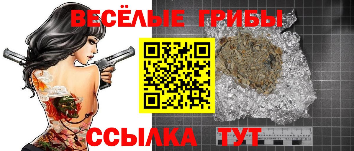 закладки  Вход с VPN  Псилоцибиновые грибы Psilocybine cubensis  Каспийск  Псилоцибиновые грибы Magic Shrooms 